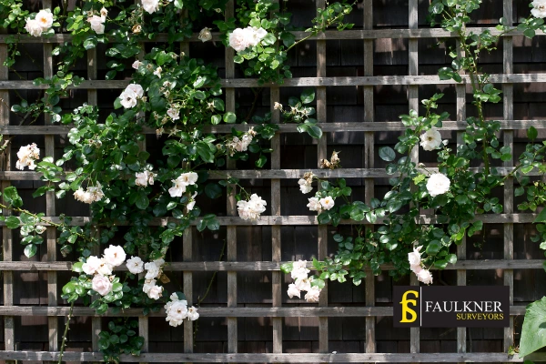 Can I put trellis on my Neighbours garage wall? 2 Do you want to adapt your neighbours garage door and add a trellis Slough? Talk to Faulkner Surveyor Slough